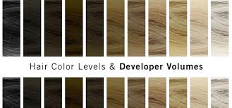hair color levels and diffe volumes
