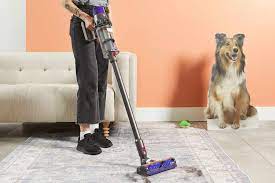 the 10 best vacuums for pet hair of