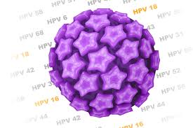 A pap smear can help detect changes in the cervix caused by hpv. Human Papillomavirus Hpv The Well Project