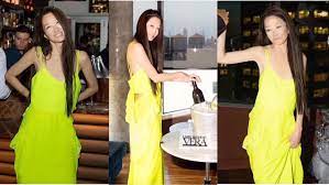 Vera wang celebrated her 72nd birthday in style with a neon dress, bubbly prosecco and a vip appearance from a music icon (well, sort of). Gxwepgpa6echdm