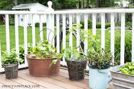 Easy Container Gardening Herbs