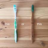 Is bamboo toothbrush eco-friendly?