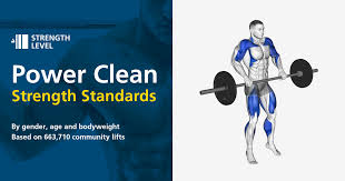 power clean standards for men and women