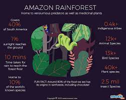 amazon rainforest facts gifographic