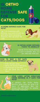 dog ortho home defense heavy