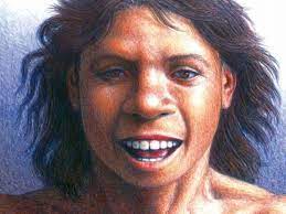 El 'Homo antecessor' se hace mayor de edad | Ciencia | EL PAÍS