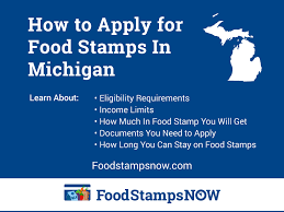 How To Apply For Food Stamps In Michigan Food Stamps Now