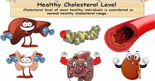 Healthy Cholesterol Level Tc Hdl C Ldl C Tg Normal Ranges