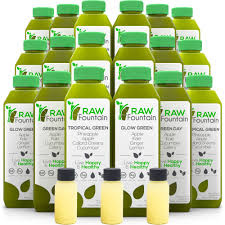 raw fountain 3 day green juice cleanse