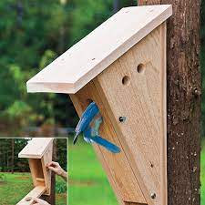 Peterson Bluebird Nest Box