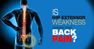 That's important, since strength in these muscles can help prevent low back pain as well as help you lift heavier weights during your workout. Is Hip Extensor Weakness Causing Your Back Pain Runners Connect