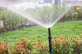 2024 sprinkler system cost cost to