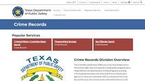 public safety criminal records division