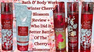 review new winter cherry blossom