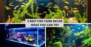 5 Best Tank Decor Ideas You Can Try - Guy About Home gambar png