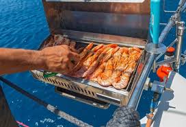 the highest rated boat grill in 2024