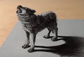 3d trick art on paper. How To Draw A Wolf 3d Easy Step By Step Anamorphic Illusion On Paper