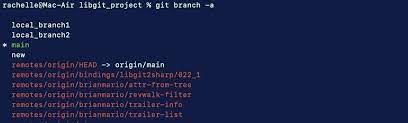 list remote branches in a git repository