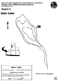 Bear Lake Nys Dept Of Environmental Conservation