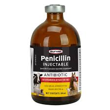 Penicillin G Injectable Antibiotic For Livestock And Horses