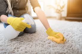 How To Remove Moldy Smells From The Carpet