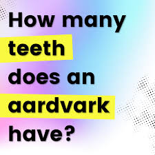 I had a benign cyst removed from my throat 7 years ago and this triggered my burni. 100 Fun Trivia Quiz Questions With Answers Hobbylark
