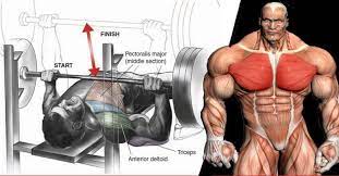 increase bench press weight