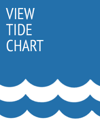 View Tide Chart Wilmington Marine Wilmington Marine