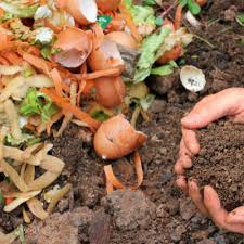 The Dirt On Starting A Compost Heap