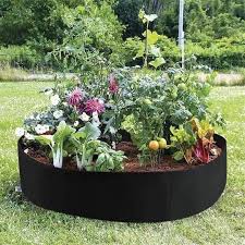 plants for raised beds