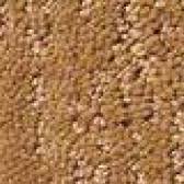 affordable new carpets in monterey ca