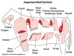 Beef Bison Cuts Not All Are Created Equal