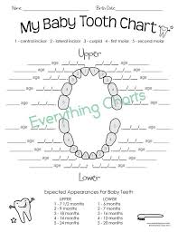 Baby Tooth Chart Pdf Printable Tooth Chart Baby