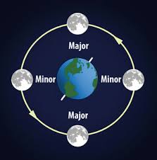 Understanding Moon Phases