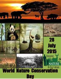 Essay on world nature conservation day      Dinatec essay on world nature conservation day zone