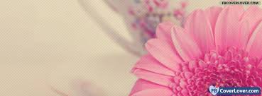 beautiful pink flower flowers facebook