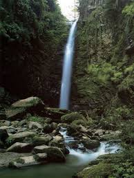 آبشاری 70 متری در دل جنگل‌های سوادکوه+عکس