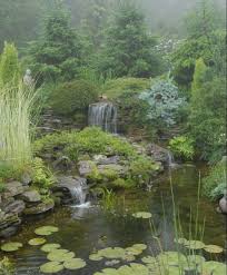 A Mystical Pond Water Features In The