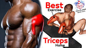 7 triceps workout at home without and