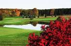 Emerald Vale Golf Club in Manton, Michigan, USA | GolfPass
