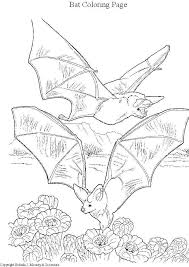 Cartoon cute bat with halloween pumpkin coloring page explore 668 high quality royalty free stock images and photos by olena boiko available for. Bat 2027 Animals Printable Coloring Pages