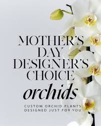 choice orchids in dallas tx
