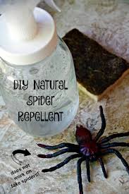 Natural Spider Repellant Diy Natural