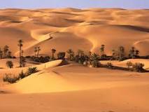 What are the 5 types of desert?