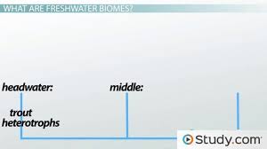 Freshwater Biomes Climate Locations Plants Animals