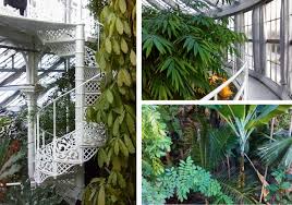 Address, phone number, botanischer garten reviews: Tag 2 In Kopenhagen Viertel Nyboder Palmenhaus Und Markthalle Little Discoveries