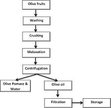 Emerging Extraction Technologies In Olive Oil Production