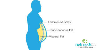 body fat know about types of body fat
