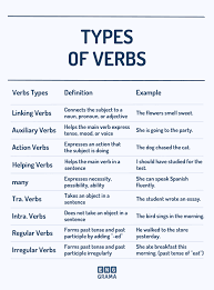 verb definition exles types
