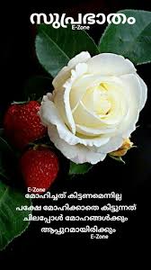 Malayalam good morning images good night images 1 0 download apk. Pin By Eron On Good Morning Malayalam Good Morning Flowers Good Morning Messages Good Night Thoughts